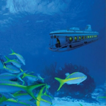 Hurghada Submarine Excursion from Safaga Port